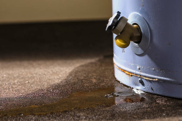 Best Water damage contractors near me  in Fredericktown, MO