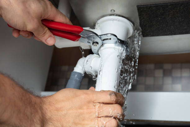 Best Carpet water damage restoration  in Fredericktown, MO