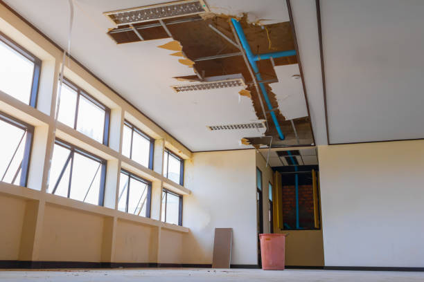 Best Local water damage restoration  in Fredericktown, MO