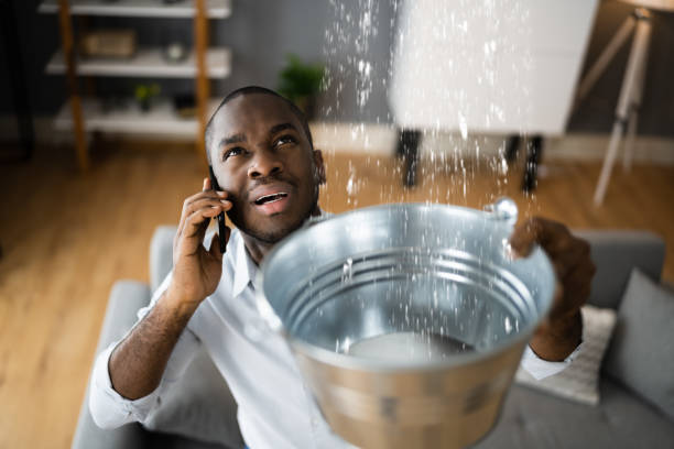 Best Ceiling water damage repair  in Fredericktown, MO