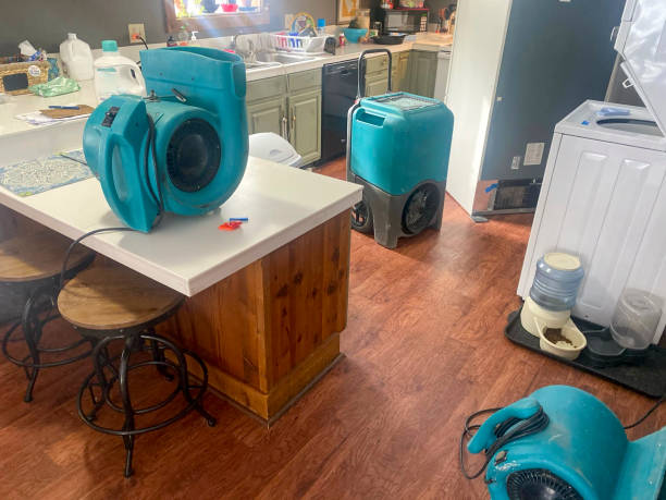 Best Basement water damage restoration  in Fredericktown, MO