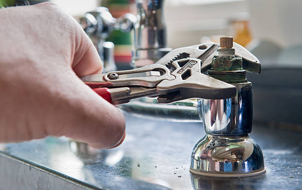 Best Mold removal after water damage  in Fredericktown, MO