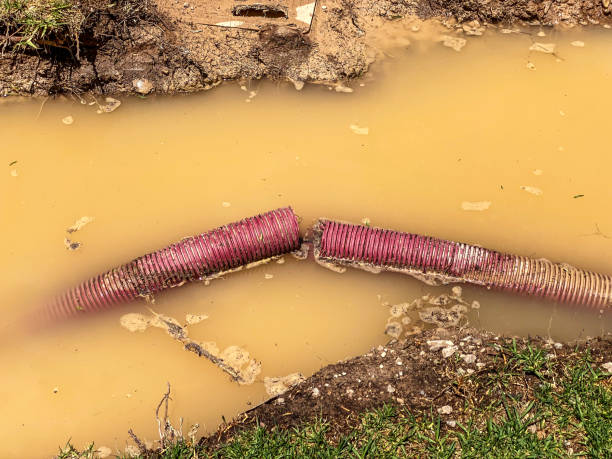 Best Water damage restoration mold remediation  in Fredericktown, MO