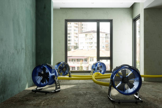 Best Carpet water damage restoration  in Fredericktown, MO