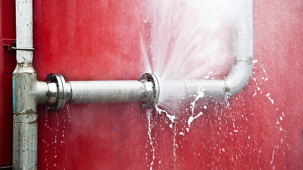 Best Sewage cleanup and water damage restoration  in Fredericktown, MO