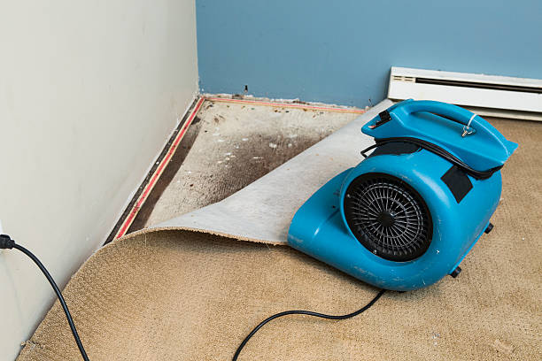 Fredericktown, MO Water damage restoration Company